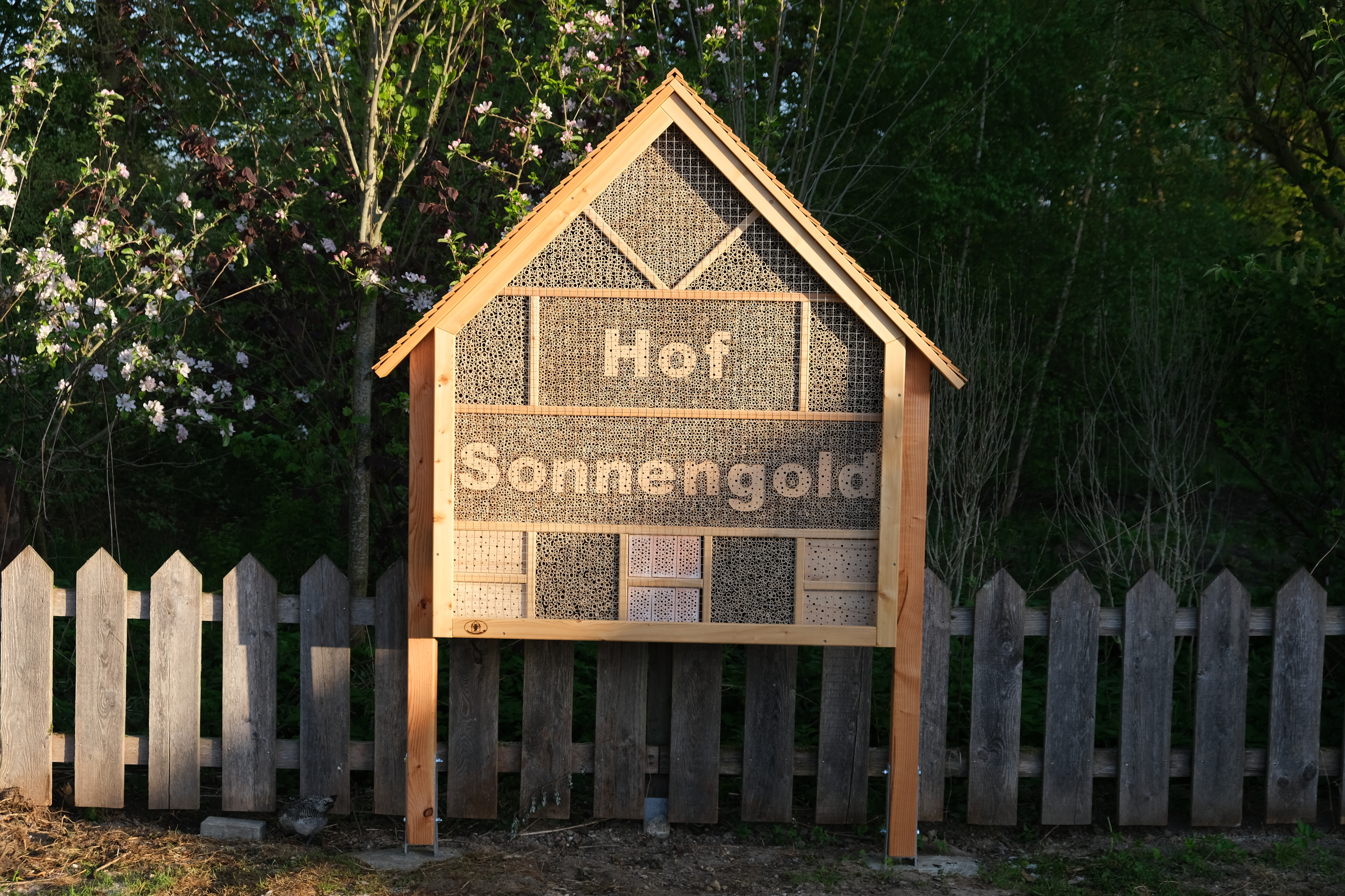 Der Hof Sonnengold e.V. hat die Bienenkönigin XXXXL aufgestellt