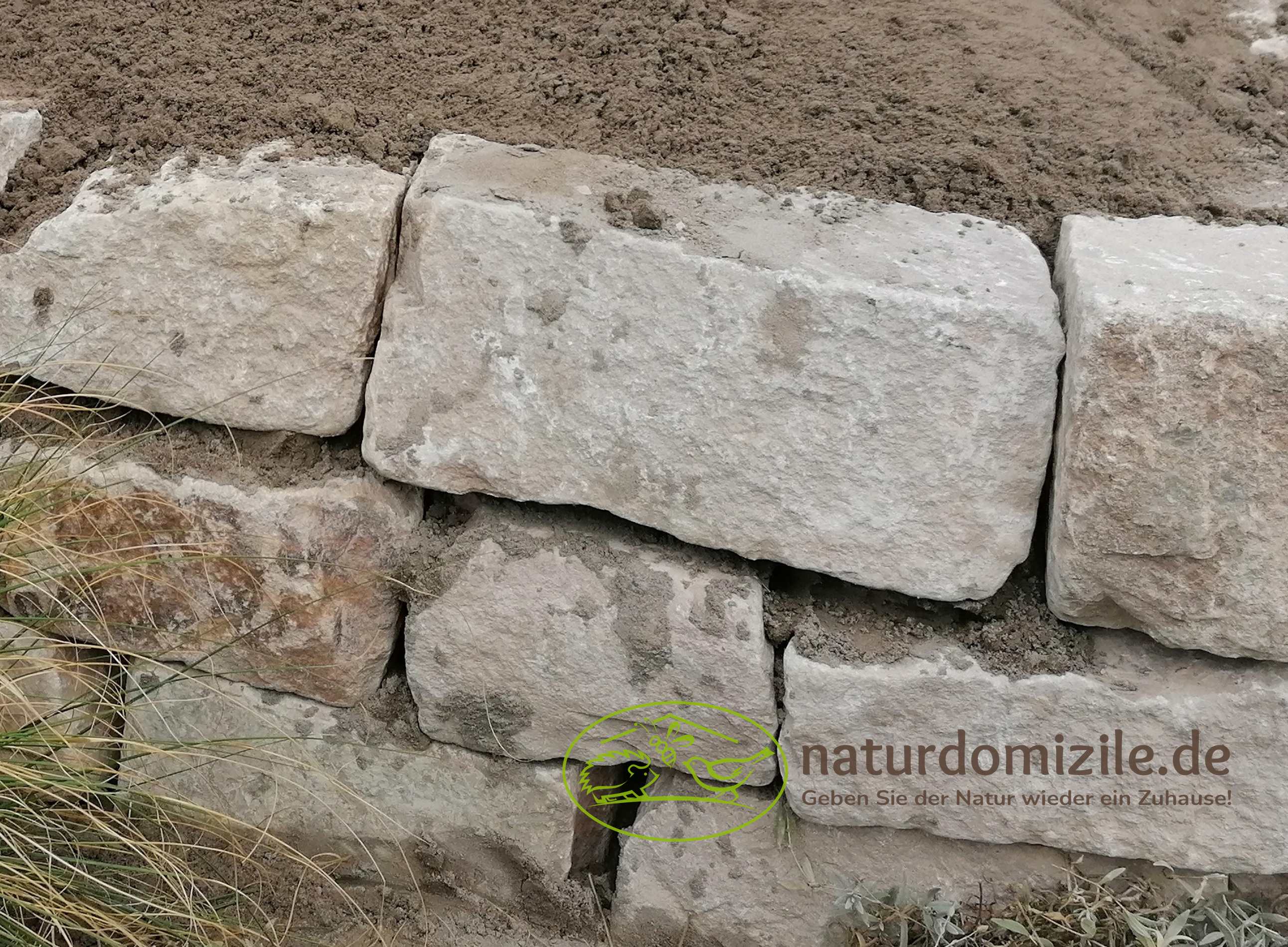 Wildbienensand mit Schichtmauer Elbtaler für Sandarium 0,5 m²