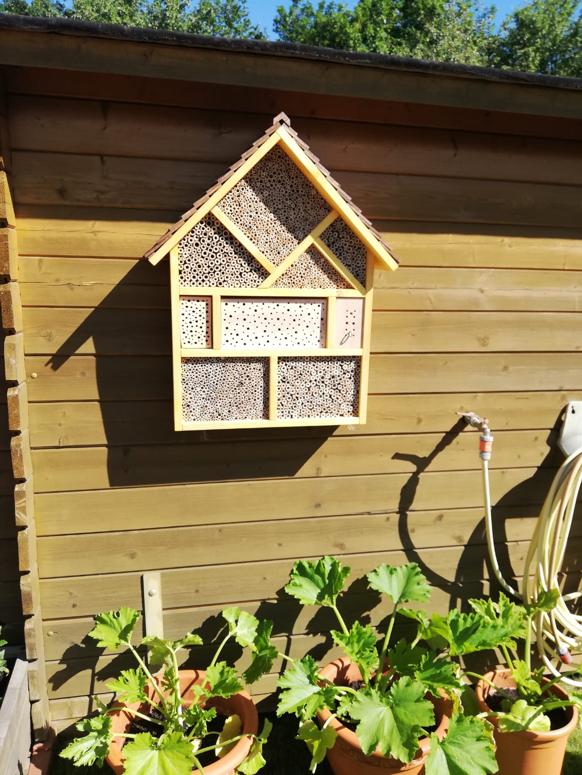Insektenhotel zur Bienenkönigin in Fichte von Herrn G.