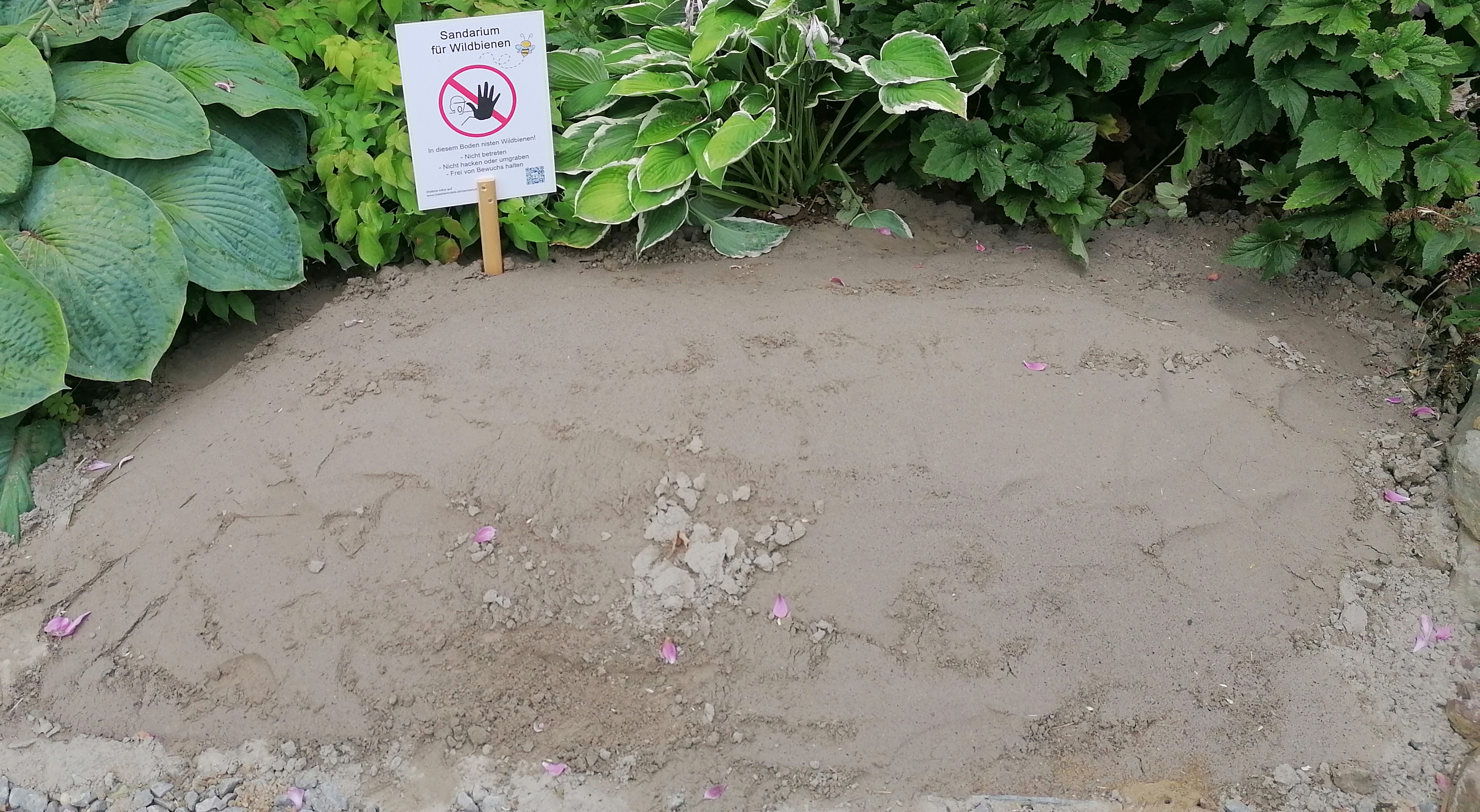 Wildbienensand für Sandarium 0,5 m²