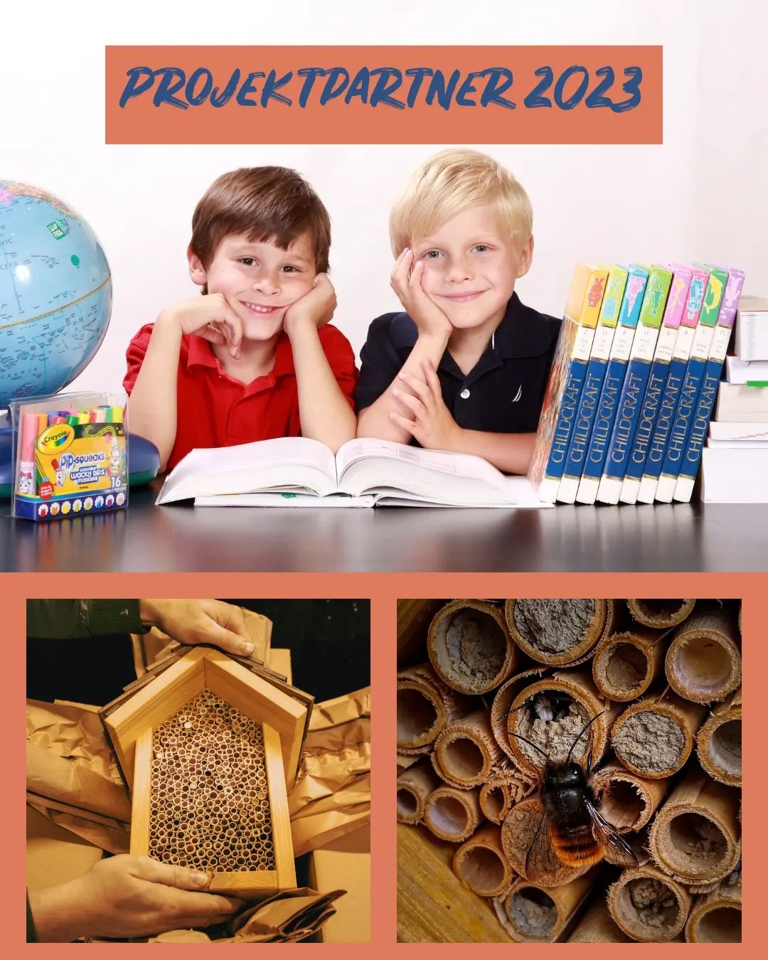 Sie arbeiten in einer Einrichtung für Kinder?